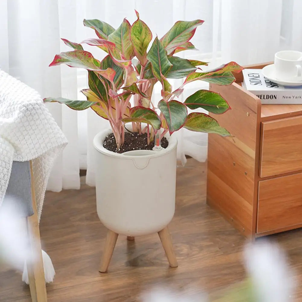 New Automatic Self-Watering Flower Pot With Water Level For Home Indoor Outdoor Garden Flower Pot With Wooden Legs. Love These. Perfect for Those of us that Forget to Water!!