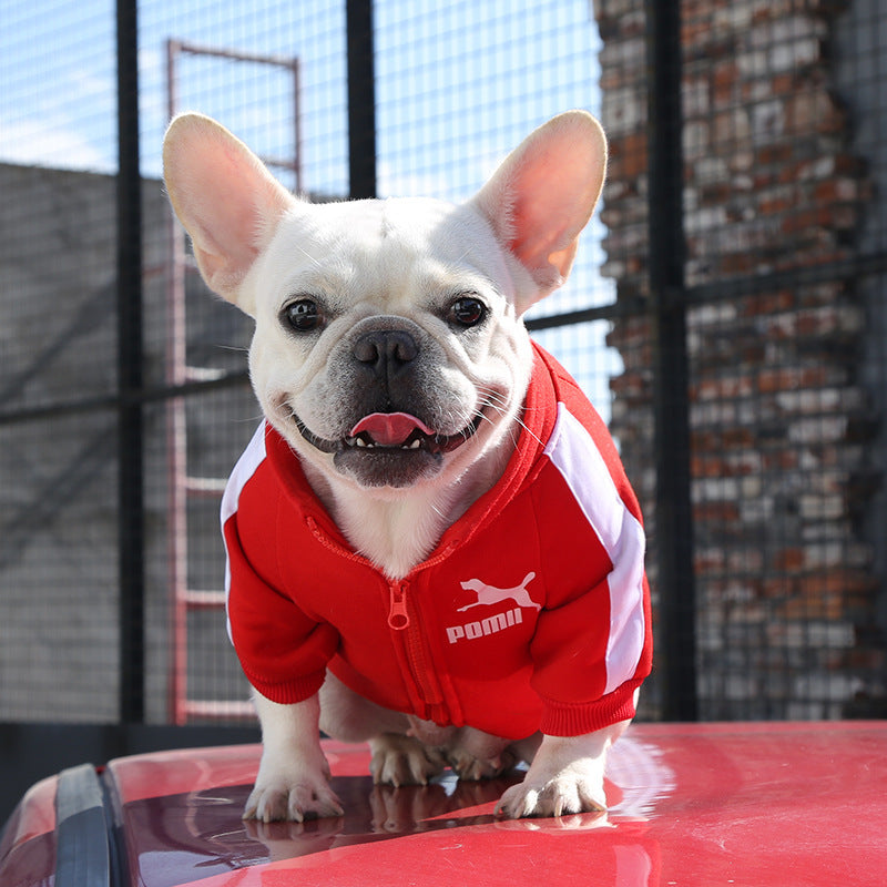, Warm Trendy Brand Sweatshirts with Letters for Dogs and Cats, Small, Medium and Large Dog Supplies. Too Darn Cute!! Gotta Have It!