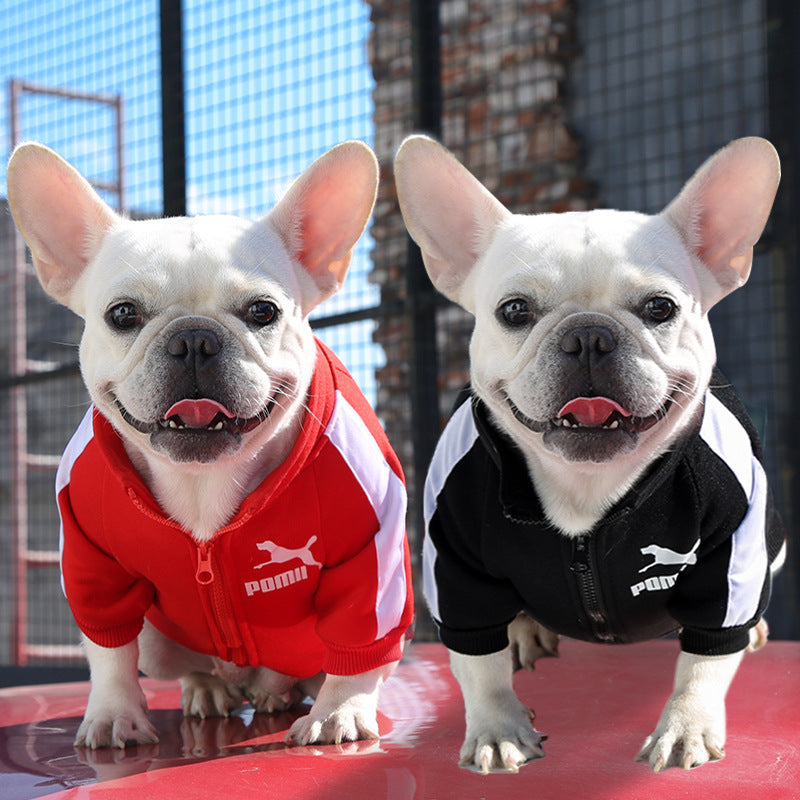, Warm Trendy Brand Sweatshirts with Letters for Dogs and Cats, Small, Medium and Large Dog Supplies. Too Darn Cute!! Gotta Have It!