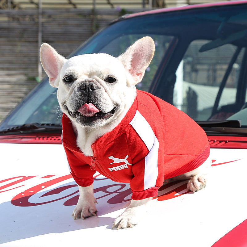 , Warm Trendy Brand Sweatshirts with Letters for Dogs and Cats, Small, Medium and Large Dog Supplies. Too Darn Cute!! Gotta Have It!