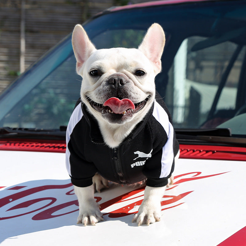, Warm Trendy Brand Sweatshirts with Letters for Dogs and Cats, Small, Medium and Large Dog Supplies. Too Darn Cute!! Gotta Have It!