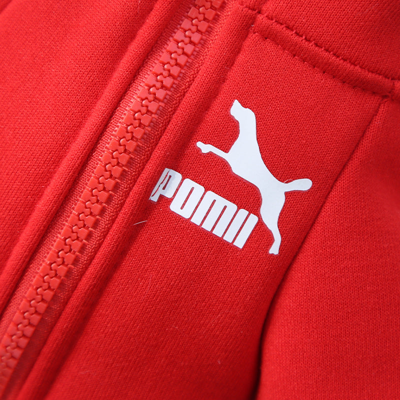 , Warm Trendy Brand Sweatshirts with Letters for Dogs and Cats, Small, Medium and Large Dog Supplies. Too Darn Cute!! Gotta Have It!