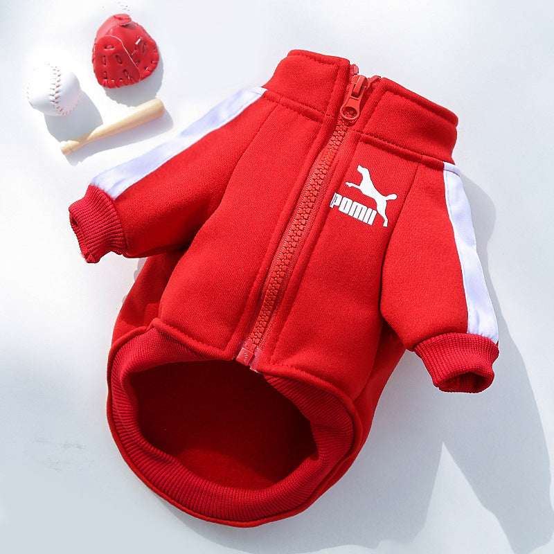 , Warm Trendy Brand Sweatshirts with Letters for Dogs and Cats, Small, Medium and Large Dog Supplies. Too Darn Cute!! Gotta Have It!