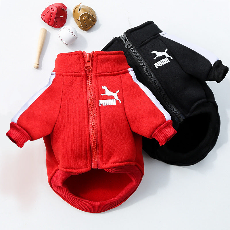 , Warm Trendy Brand Sweatshirts with Letters for Dogs and Cats, Small, Medium and Large Dog Supplies. Too Darn Cute!! Gotta Have It!