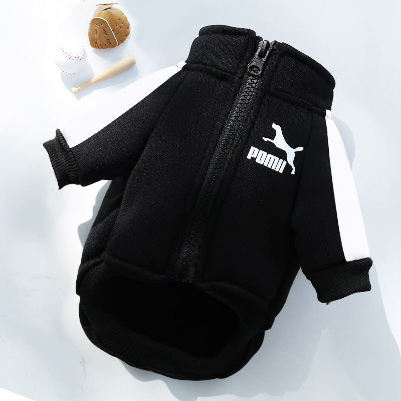 , Warm Trendy Brand Sweatshirts with Letters for Dogs and Cats, Small, Medium and Large Dog Supplies. Too Darn Cute!! Gotta Have It!