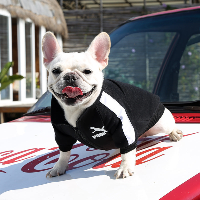 , Warm Trendy Brand Sweatshirts with Letters for Dogs and Cats, Small, Medium and Large Dog Supplies. Too Darn Cute!! Gotta Have It!