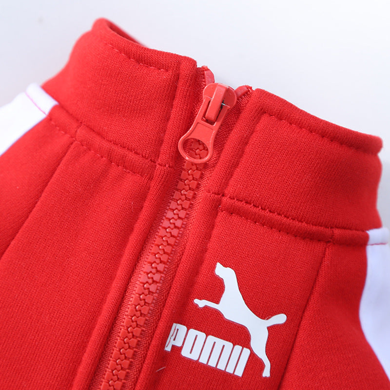 , Warm Trendy Brand Sweatshirts with Letters for Dogs and Cats, Small, Medium and Large Dog Supplies. Too Darn Cute!! Gotta Have It!