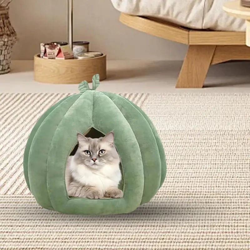 Pet House Bed. Pumpkin Hideaway for your Smaller Fur Babies. How Cute is THIS!!!!!