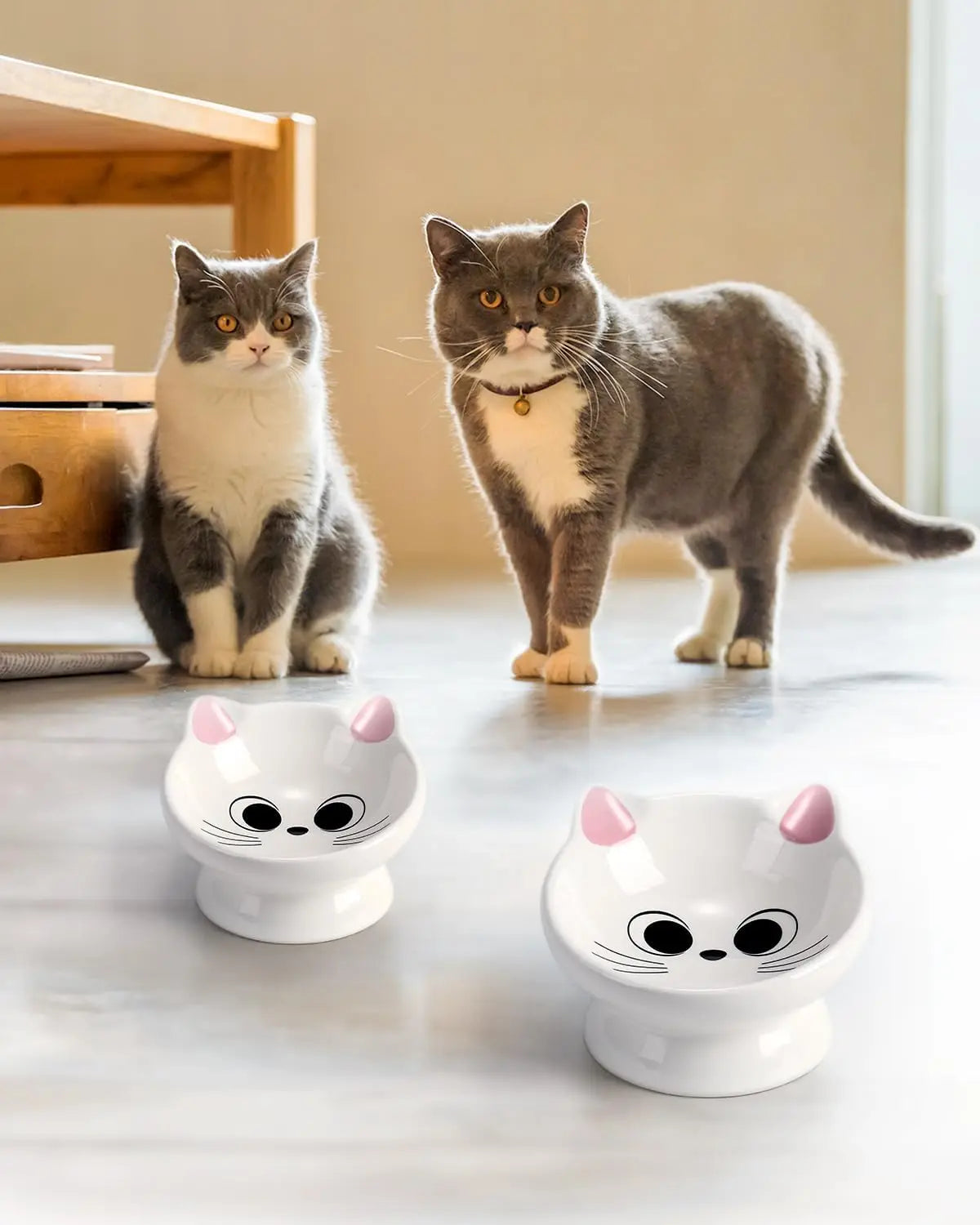2-Piece Ceramic Raised Cat Food Bowl with 15° Tilt for Spine Health and Anti-Reflux Purposes. Pretty Darn Cute.