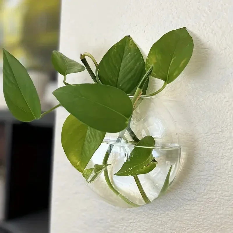 2/4/6 Pack Wall Hanging Glass Self-Watering Hydroponic Planter for Home Office Decor, Handmade Round Crystal Vase. A Nice Touch to any Room.