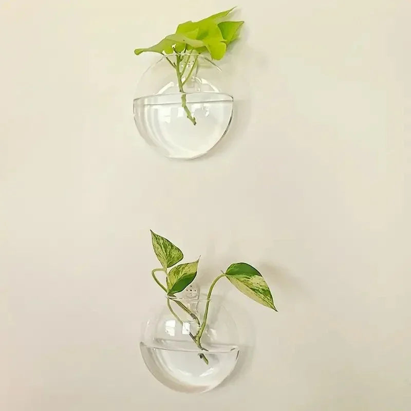 2/4/6 Pack Wall Hanging Glass Self-Watering Hydroponic Planter for Home Office Decor, Handmade Round Crystal Vase. A Nice Touch to any Room.