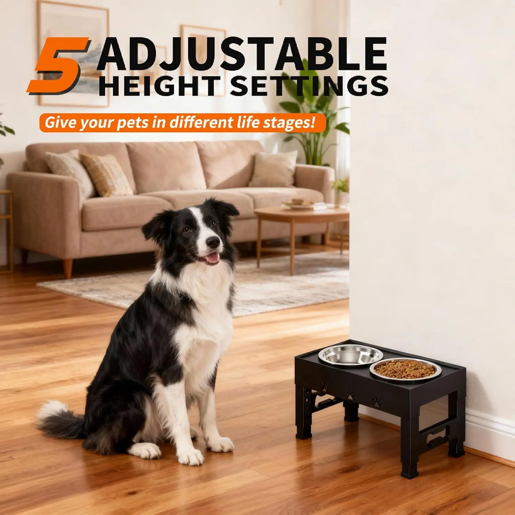 Adjustable Height Raised Dog Bowl Stand with 2 Stainless Steel Bowls, Non-Slip Feeder for Medium Large Dogs. Grows with Your Fur Baby.