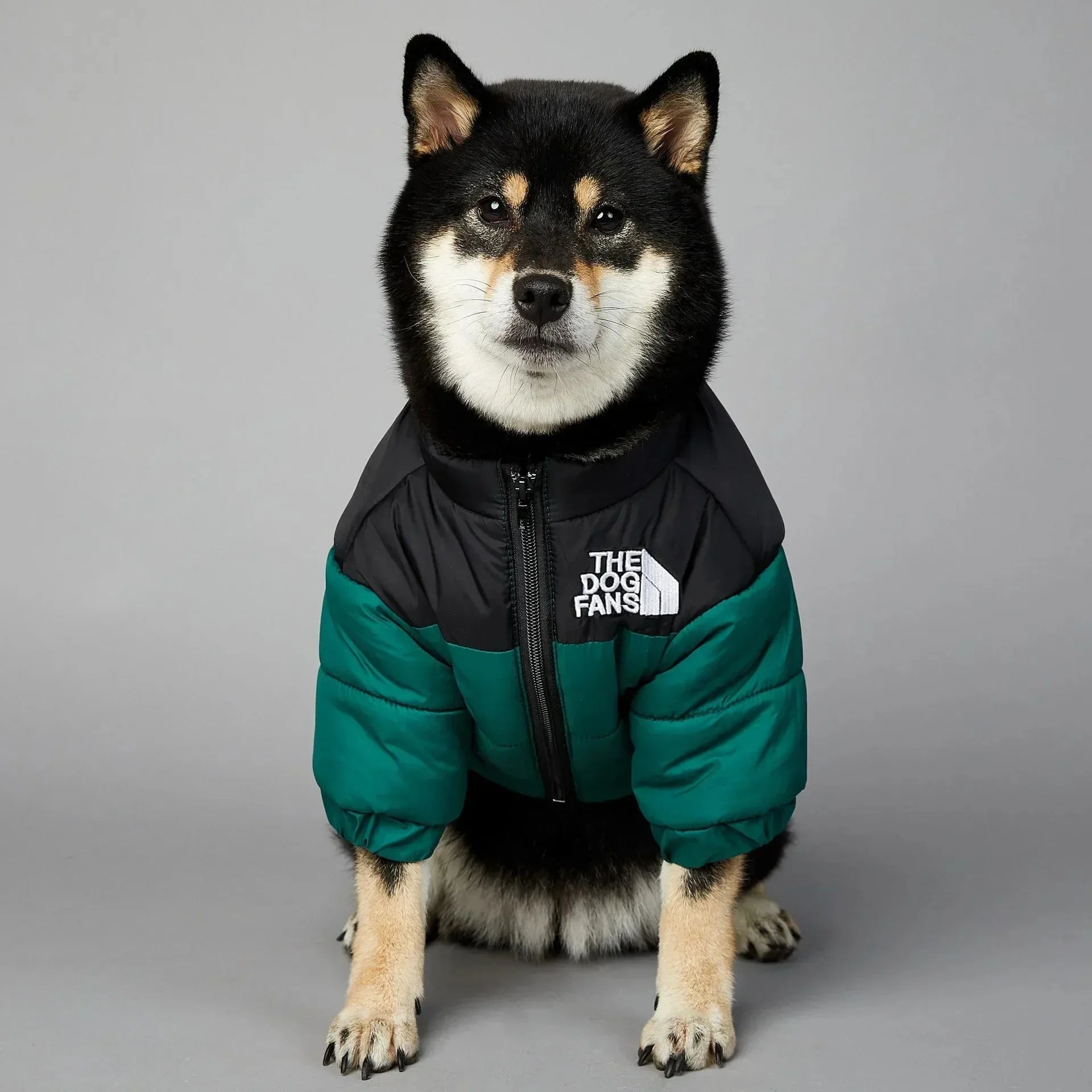 Dog Fans Warm  Down Jacket for all Size  Dogs - Multiple Colors. " THE DOG FANS " on the jacket!   will have your BEST FRIEND stylin.!