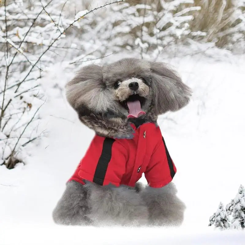 Doggie Down Jacket Fur Trimmed Hoodie Coat .  Your Fur Baby will be the Best Dressed Dog in Town!!!