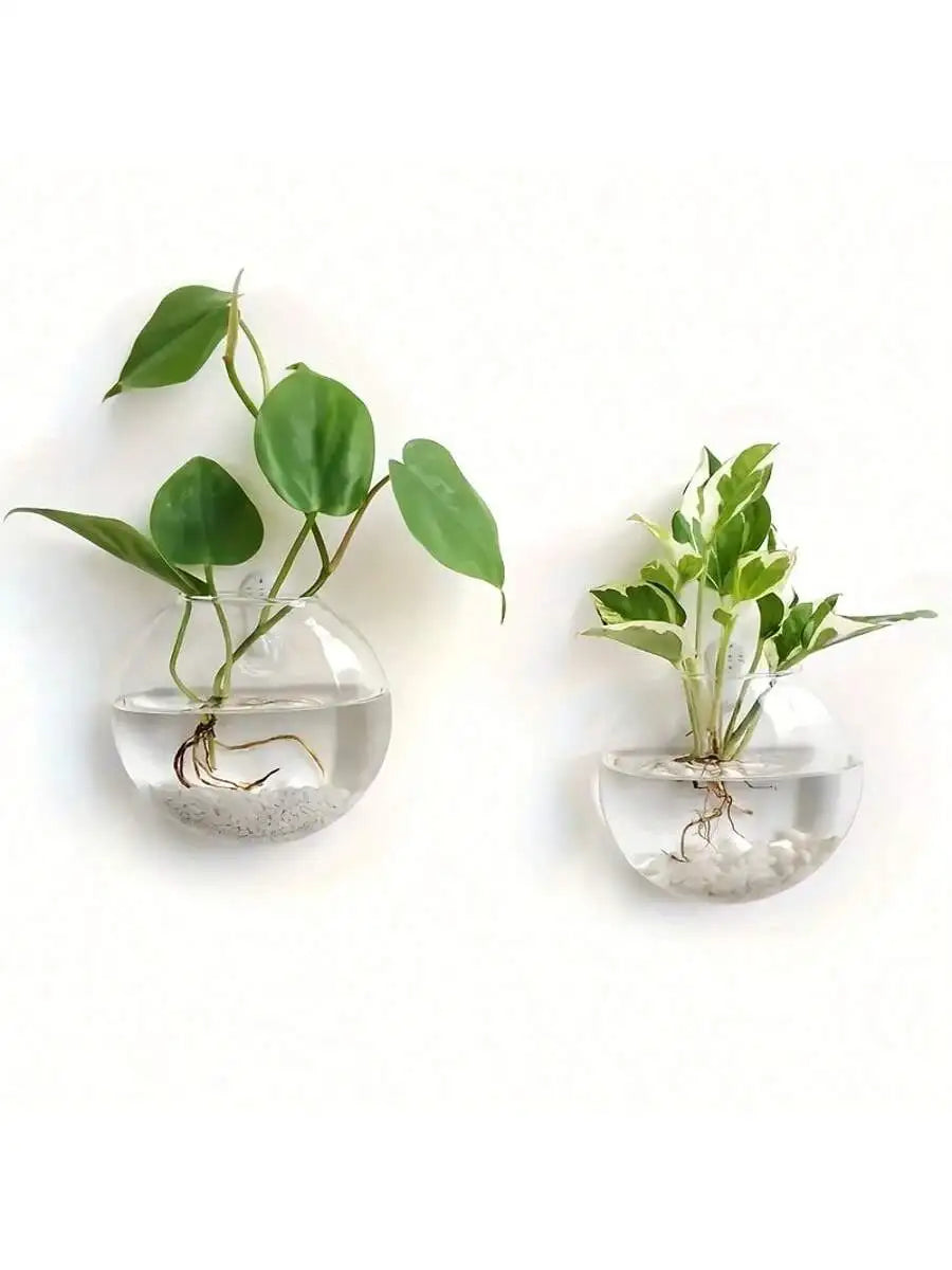 2/4/6 Pack Wall Hanging Glass Self-Watering Hydroponic Planter for Home Office Decor, Handmade Round Crystal Vase. A Nice Touch to any Room.