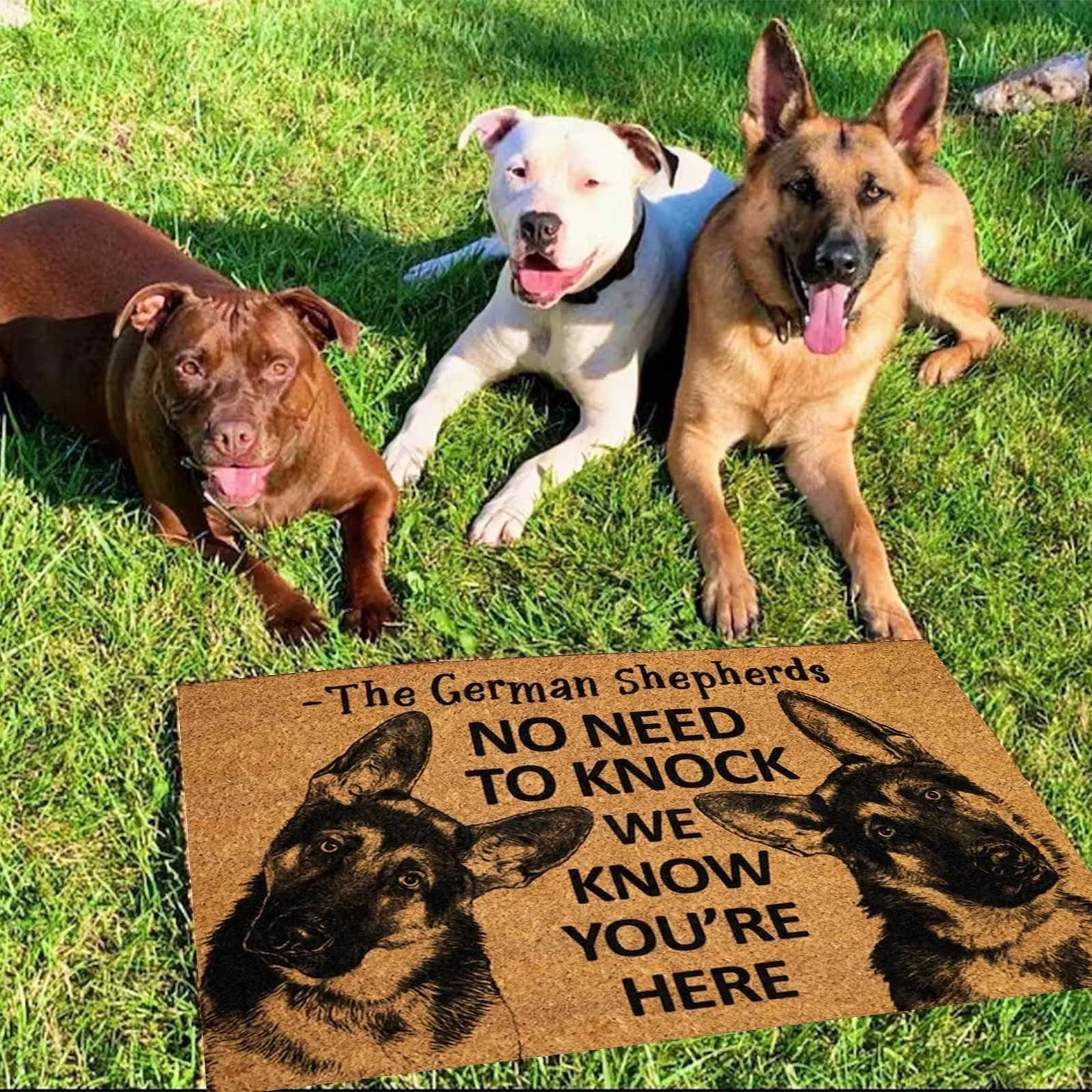 Funny Dog Doormat. Enough Said!!