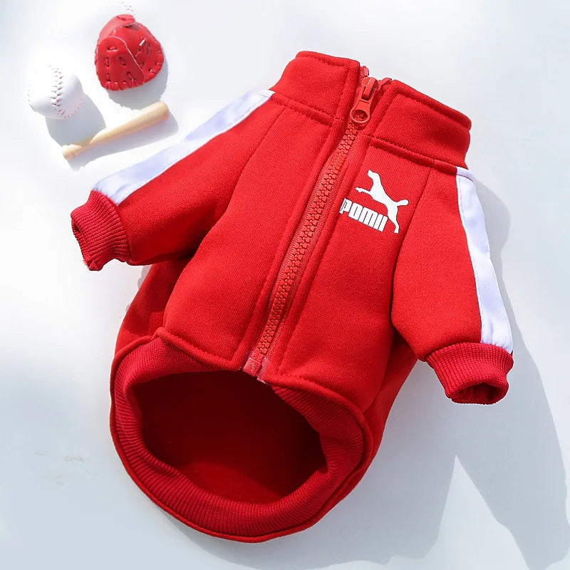 , Warm Trendy Brand Sweatshirts with Letters for Dogs and Cats, Small, Medium and Large Dog Supplies. Too Darn Cute!! Gotta Have It!