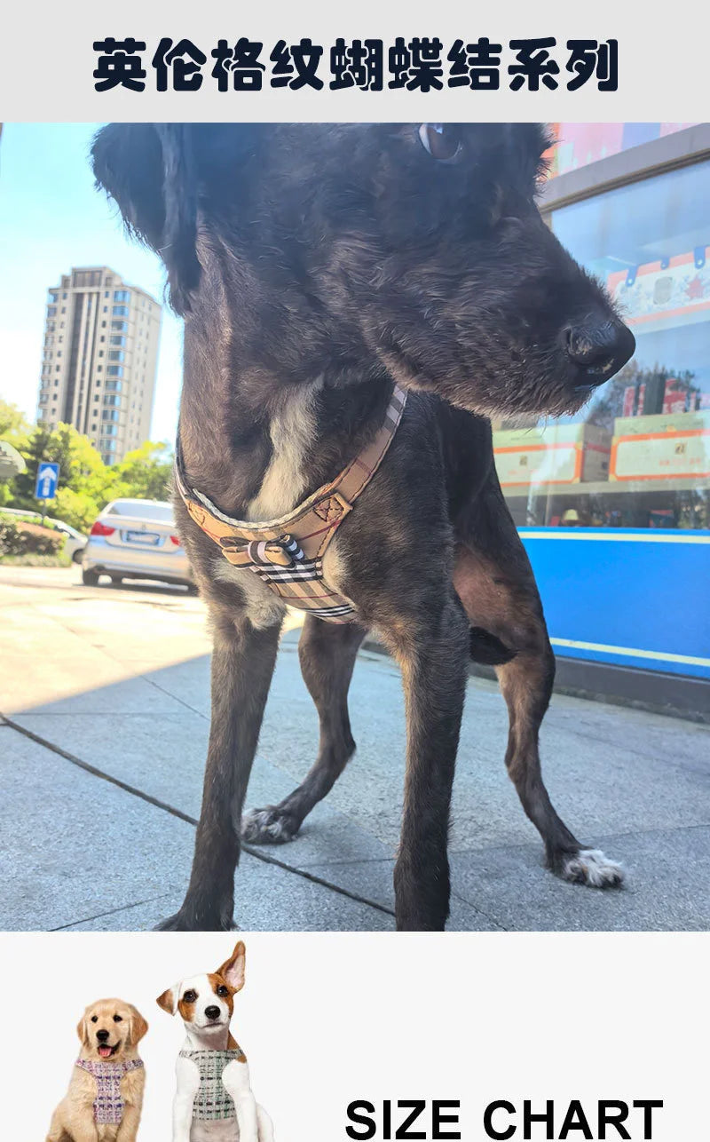 Dog Harness Leash Set for Small and Medium Dogs Adjustable Plaid Bow Vest Double Hook Leash Pet .Your Fur Babies will be Walking in Style.