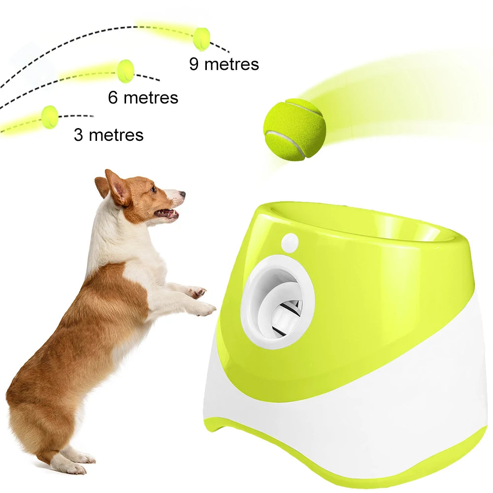 Pet Toy. Interactive Toy. Automatic ball thrower. Hours of fun for your Fur baby and the Family.