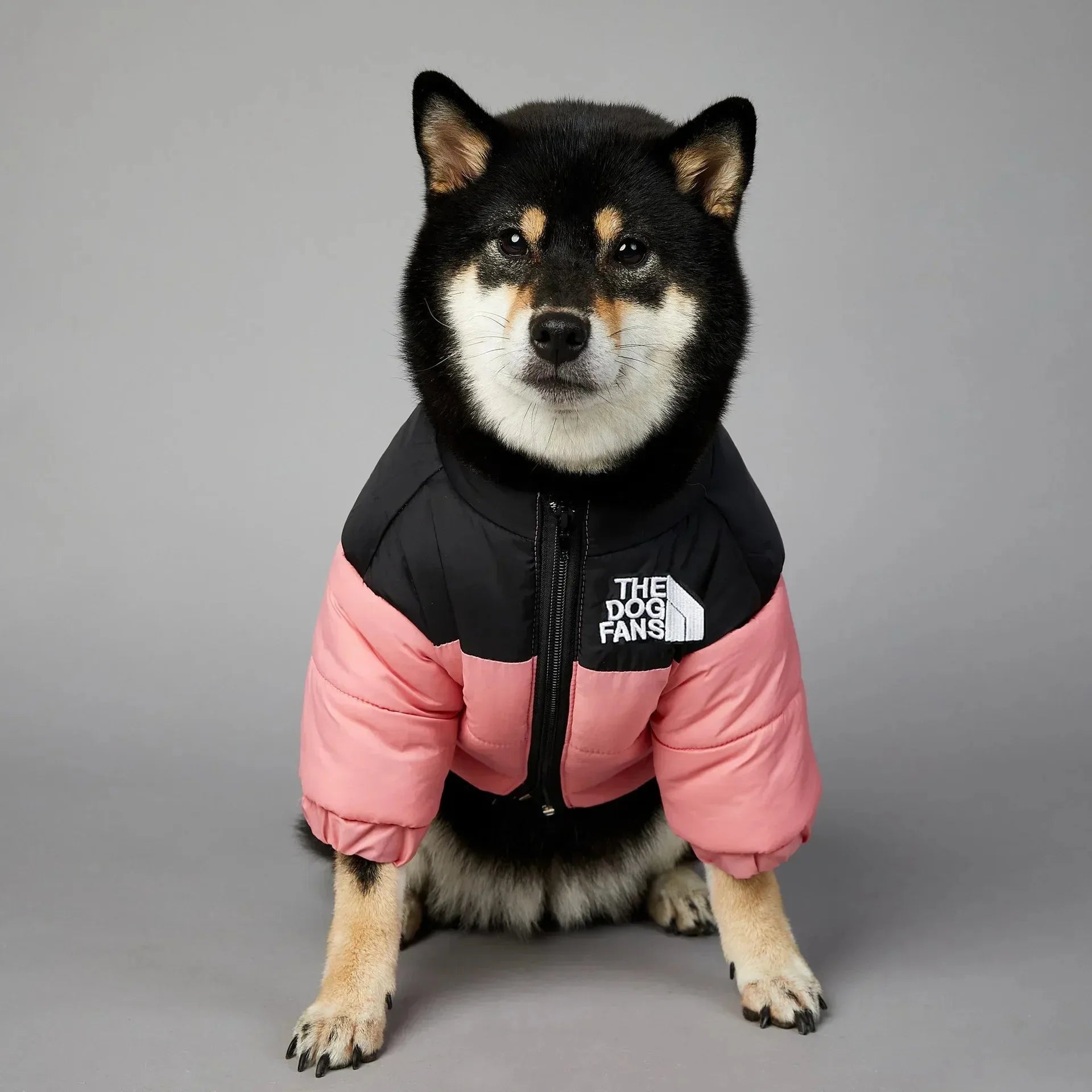 Dog Fans Warm  Down Jacket for all Size  Dogs - Multiple Colors. " THE DOG FANS " on the jacket!   will have your BEST FRIEND stylin.!