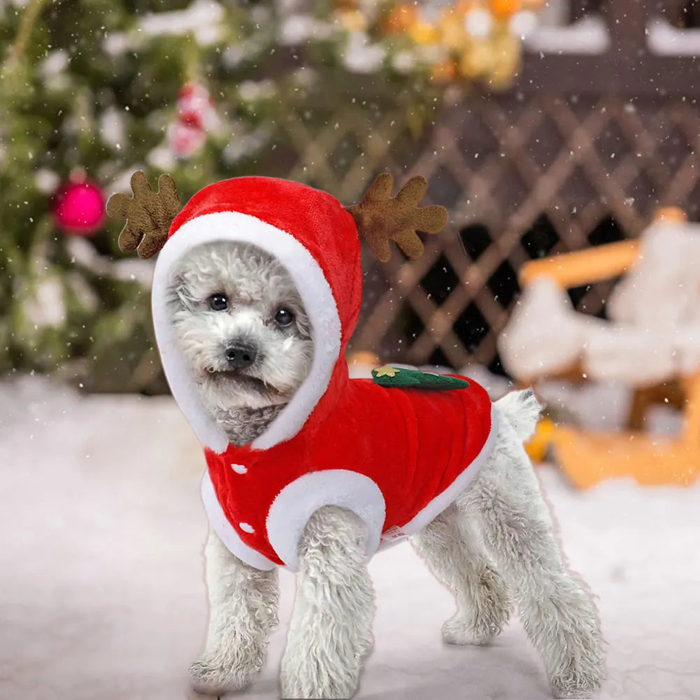 Dog Christmas Costumes Elk Pet Dog and Cat Cold Weather Coats . This Was Just Too Cute To Not Put in the Store. Think How Cute Your Next Family Photo Christmas Card Will Be!!