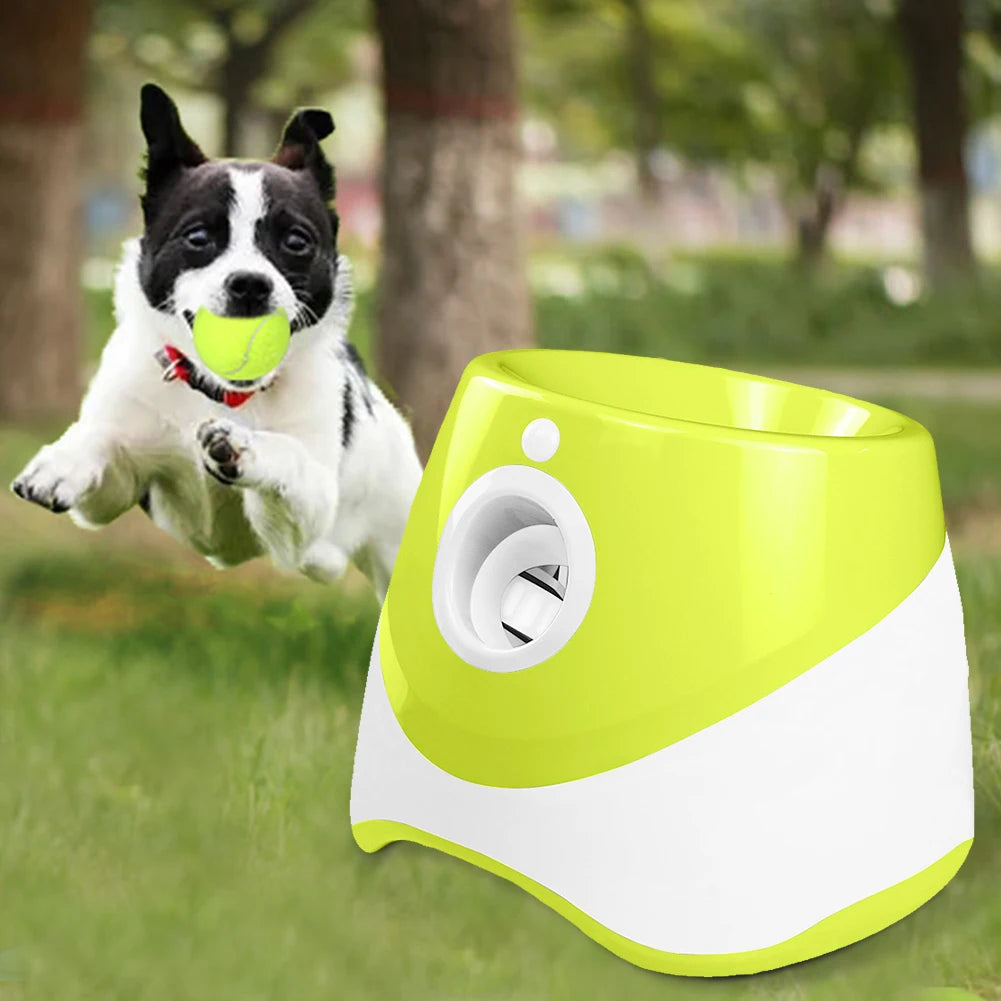 Pet Toy. Interactive Toy. Automatic ball thrower. Hours of fun for your Fur baby and the Family.