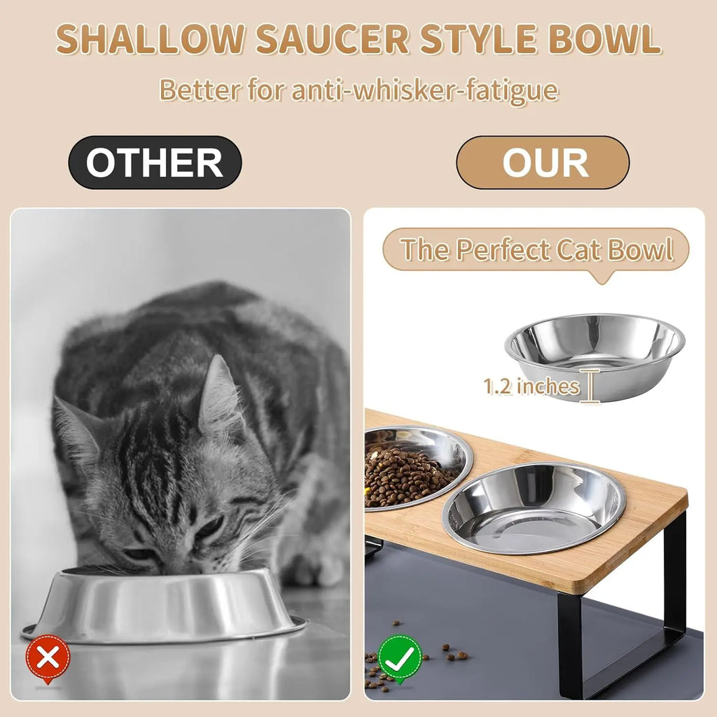 Elevated Cat Bowls with Mat, 15° Tilted Stand Anti-Vomiting Raised Dishes for Food and Water, 2 Stainless Steel Bowls