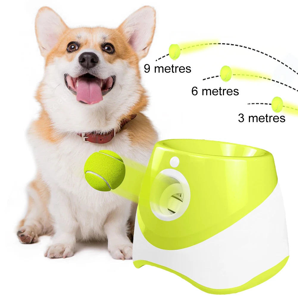 Pet Toy. Interactive Toy. Automatic ball thrower. Hours of fun for your Fur baby and the Family.