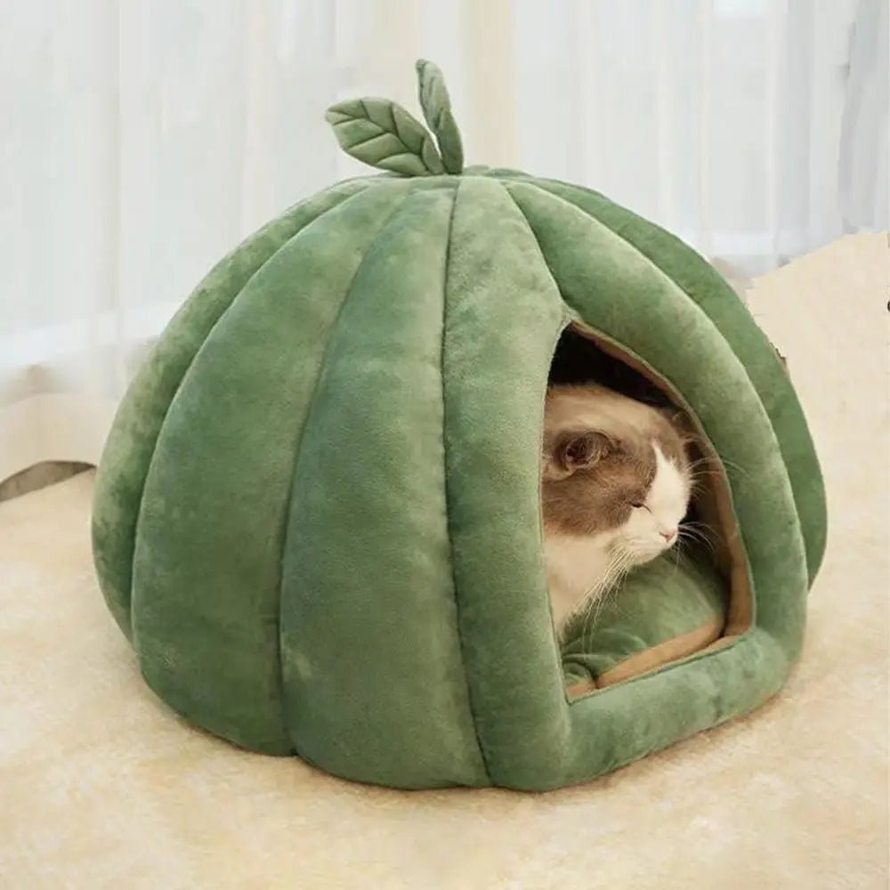 Pet House Bed. Pumpkin Hideaway for your Smaller Fur Babies. How Cute is THIS!!!!!