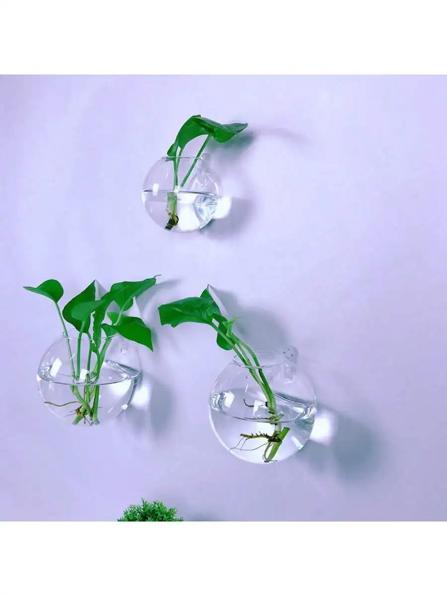 2/4/6 Pack Wall Hanging Glass Self-Watering Hydroponic Planter for Home Office Decor, Handmade Round Crystal Vase. A Nice Touch to any Room.