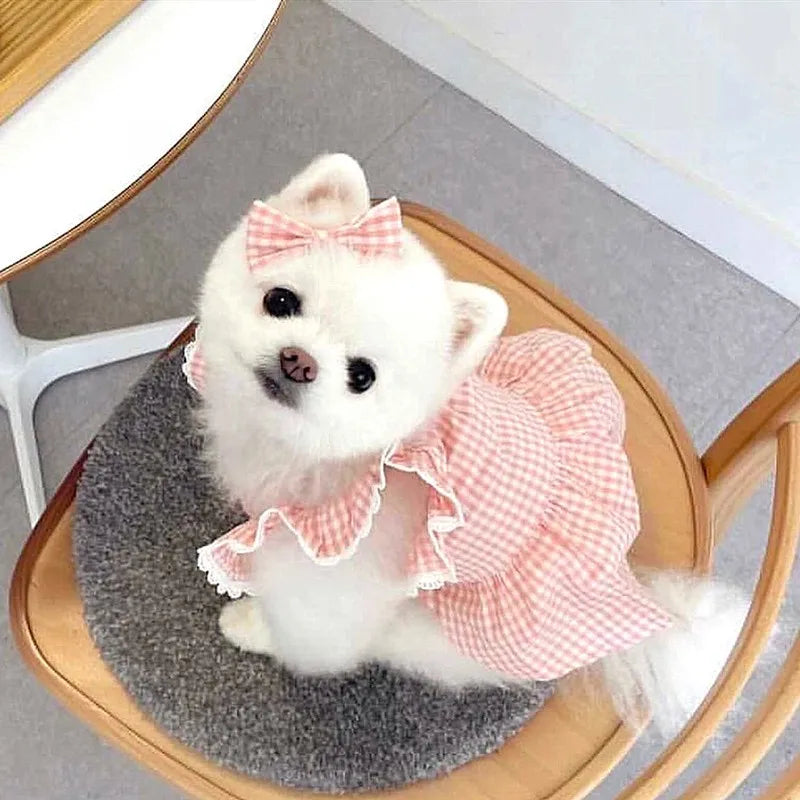 Spring/summer new pet dog dress pink plaid and lace. Suitable for both dogs and cats and will definitely place them on Any Best Dressed List. Multiple Sizes.