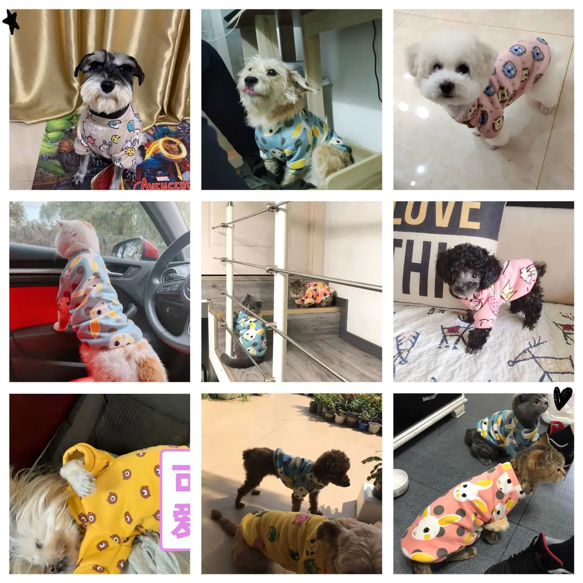 Cat and Dog Sweatshirt . Multiple fashionable designs to choose from.