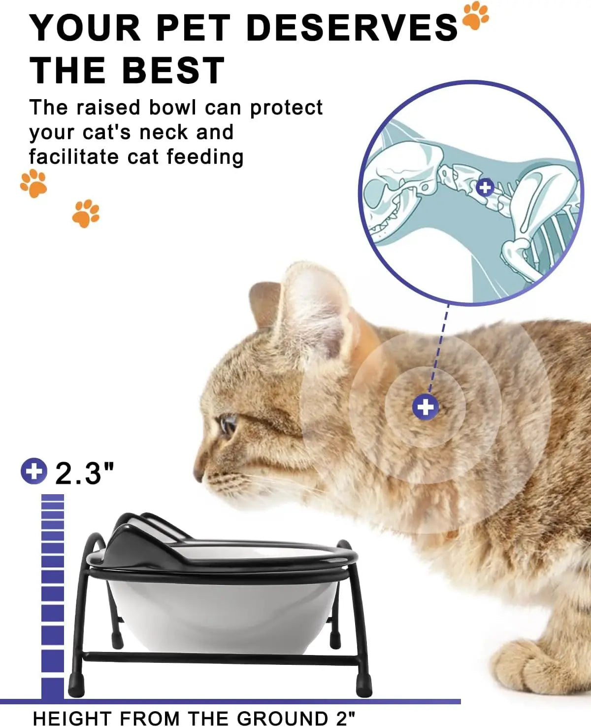 Elevated Ceramic Pet Bowls with Stand for Cats and Small Dogs, Dishwasher Safe, 12 oz Capacity.  Simple Design and Really Cute!