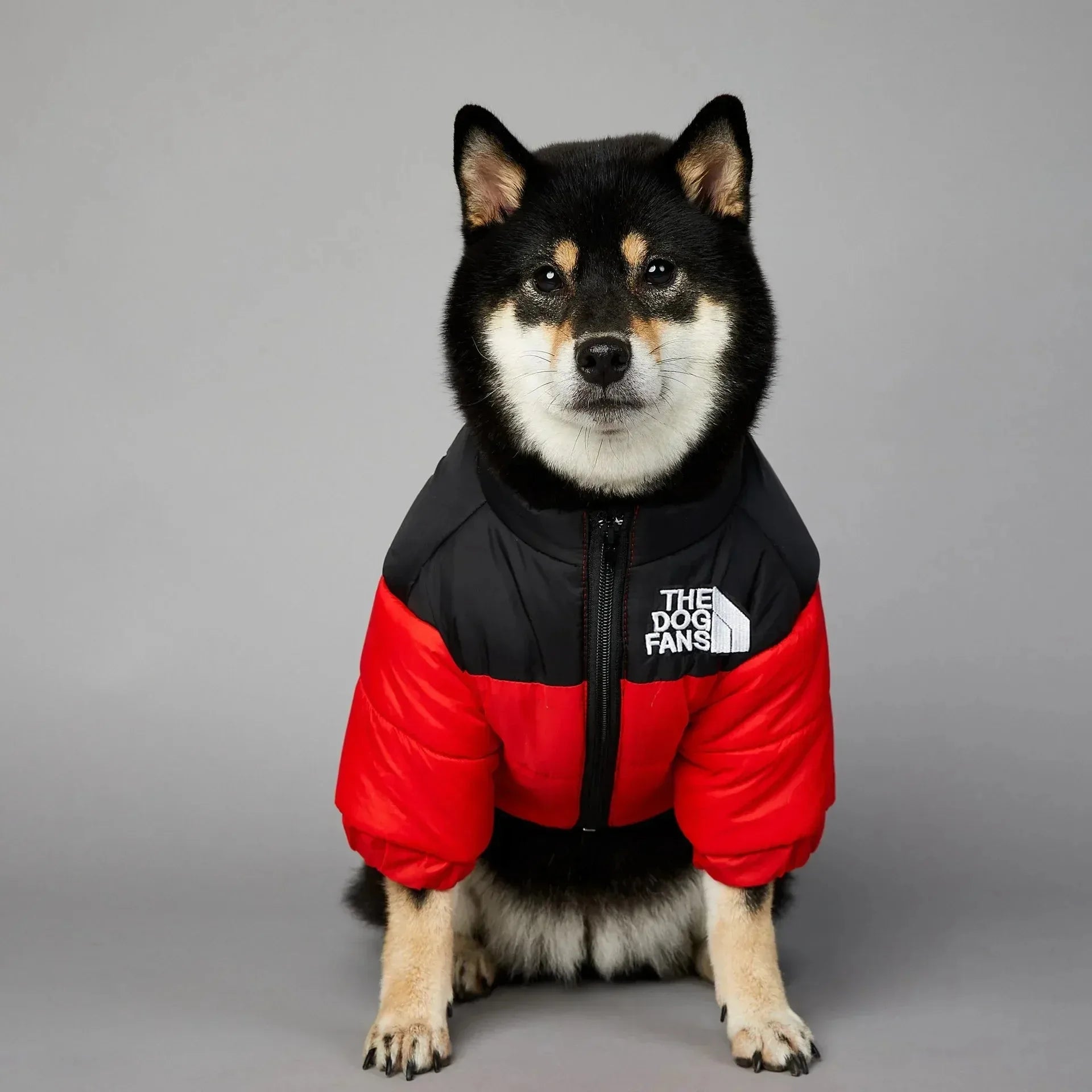 Dog Fans Warm  Down Jacket for all Size  Dogs - Multiple Colors. " THE DOG FANS " on the jacket!   will have your BEST FRIEND stylin.!