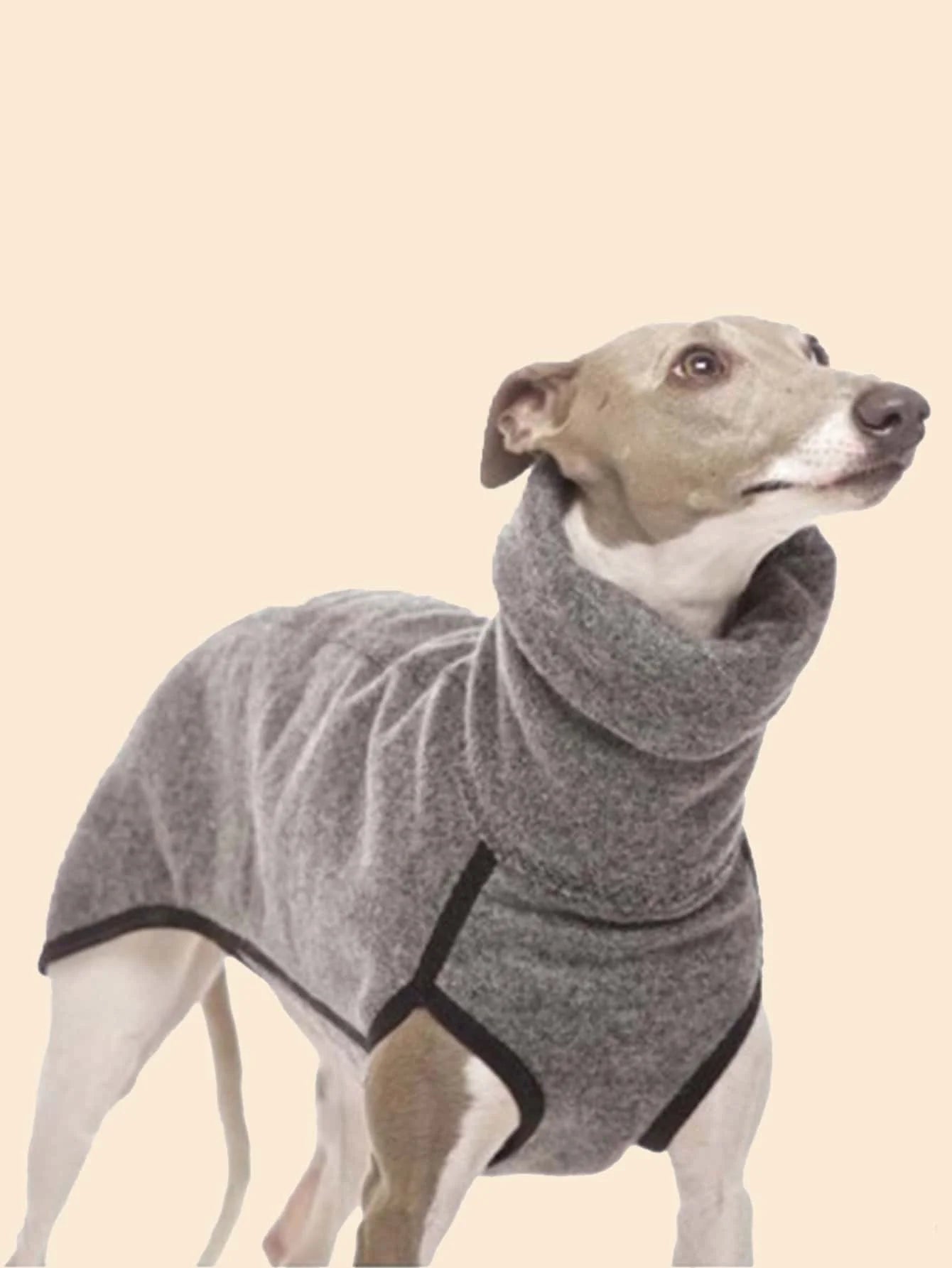 Calling Greyhound Lovers. This Sharp Classic Turtle Neck Style Jacket. These Sweet Fur Babies require a Specific fit for Their Shape. Multiple Size Choices. Also Comes in Grey.