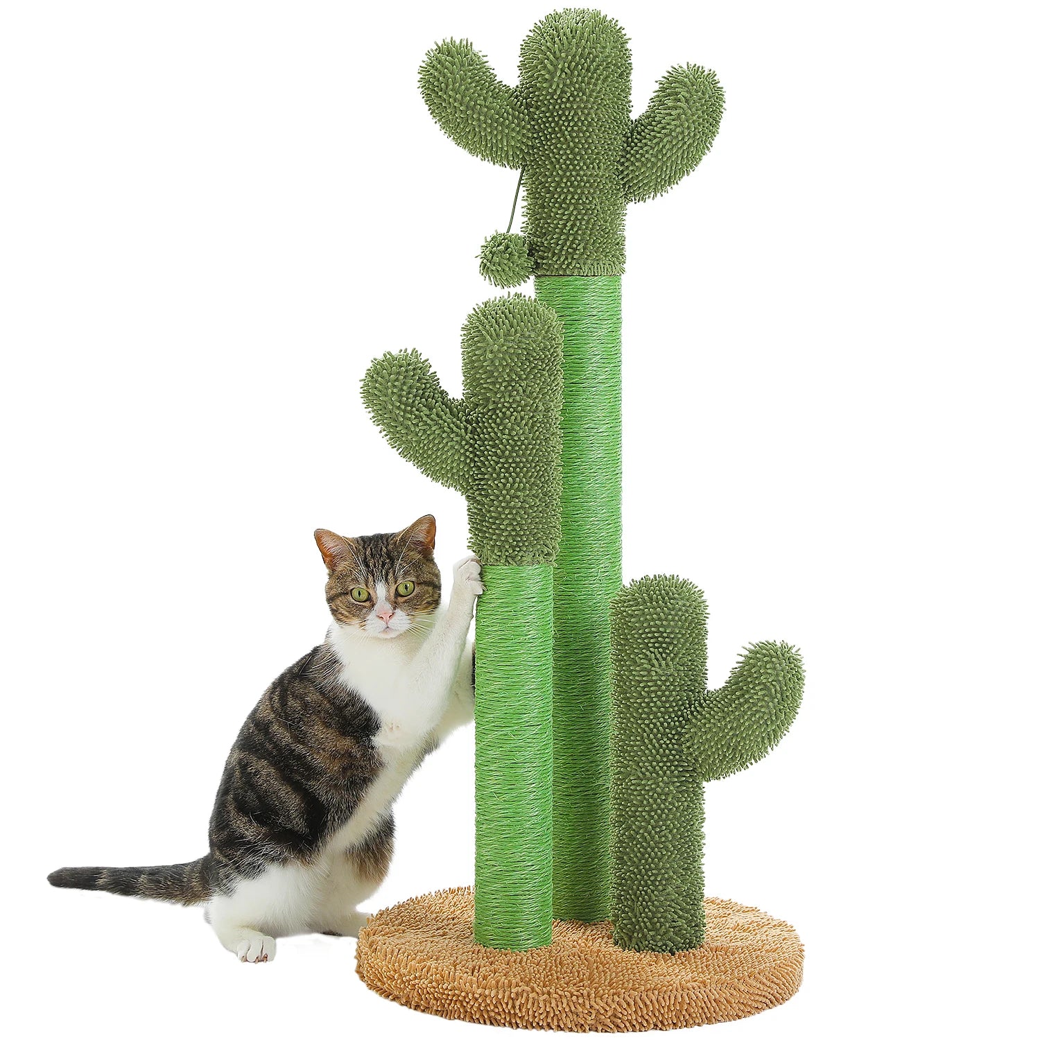 Cactus Cat Tree with Large Condo, Hammock, Dangling Ball and Cat Scratching Post for hours of indoor fun and shenanigans.