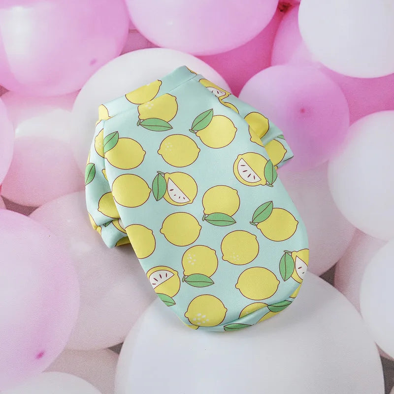 Cat and Dog Sweatshirt . Multiple fashionable designs to choose from.