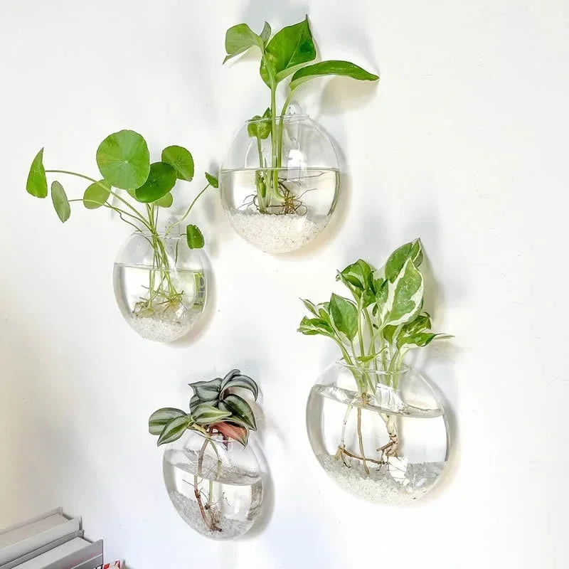 2/4/6 Pack Wall Hanging Glass Self-Watering Hydroponic Planter for Home Office Decor, Handmade Round Crystal Vase. A Nice Touch to any Room.