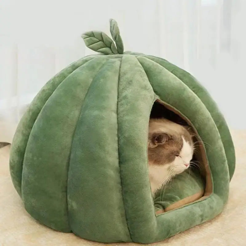 Pet House Bed. Pumpkin Hideaway for your Smaller Fur Babies. How Cute is THIS!!!!!