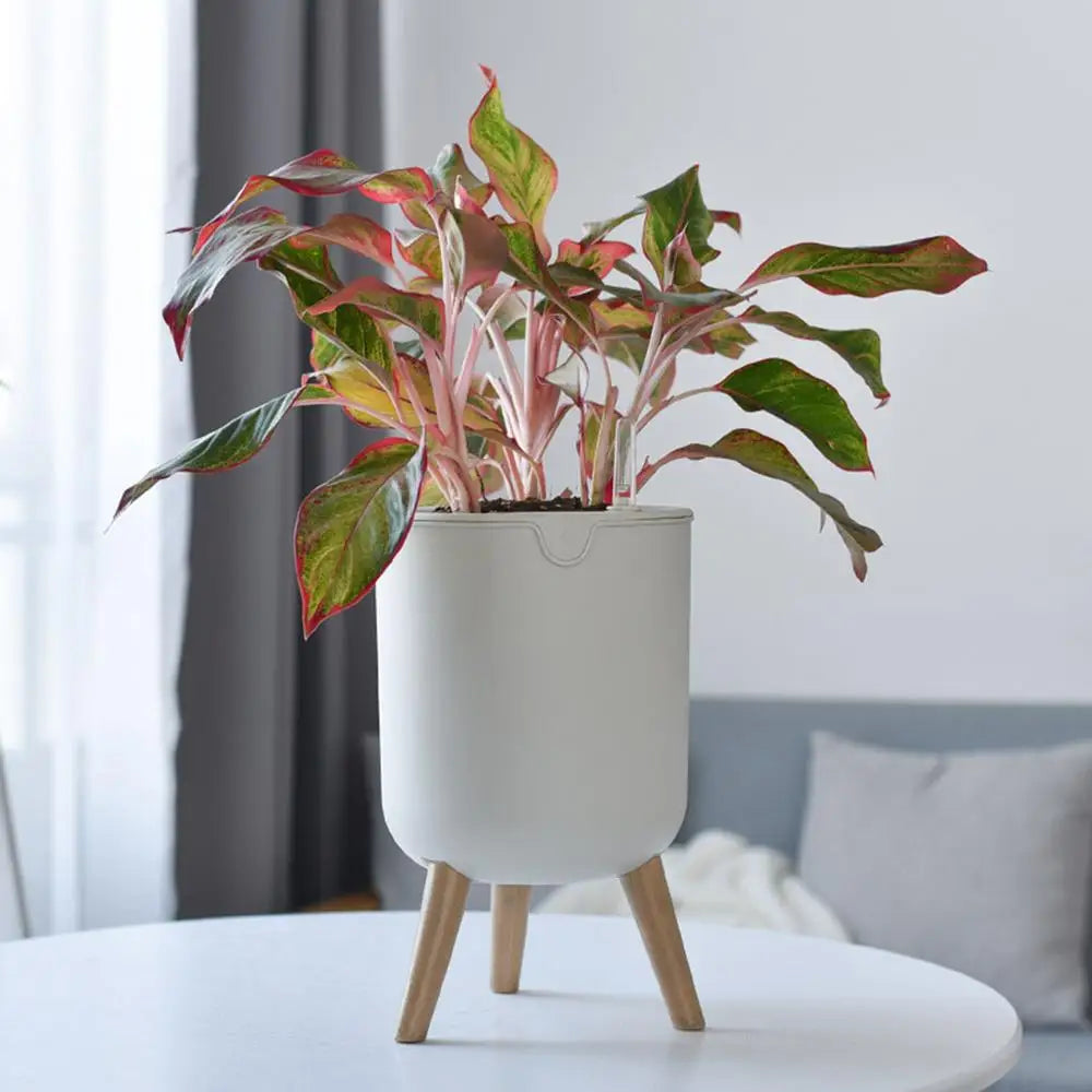 New Automatic Self-Watering Flower Pot With Water Level For Home Indoor Outdoor Garden Flower Pot With Wooden Legs. Love These. Perfect for Those of us that Forget to Water!!