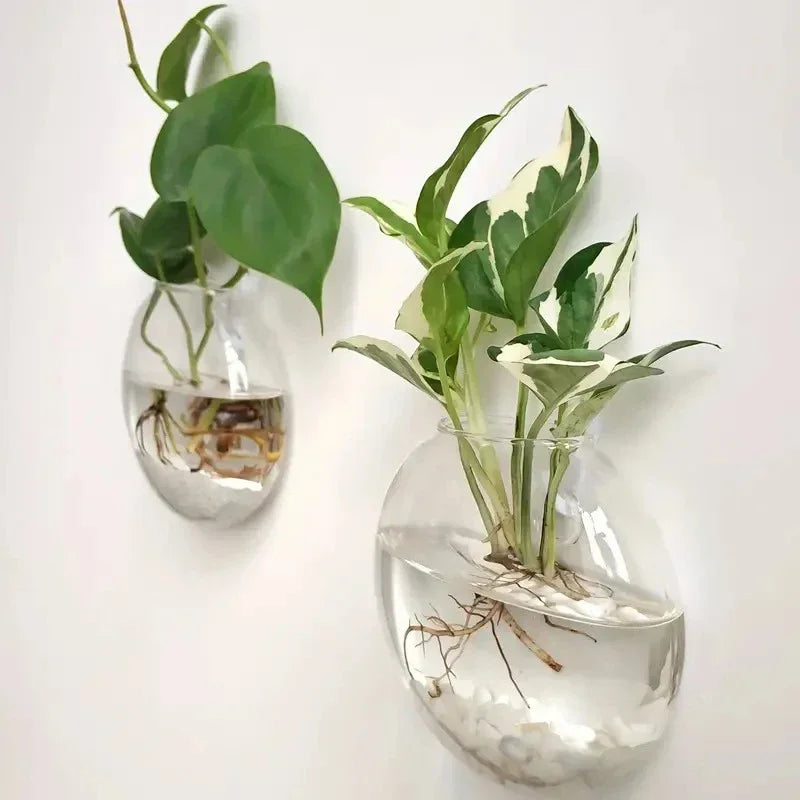 2/4/6 Pack Wall Hanging Glass Self-Watering Hydroponic Planter for Home Office Decor, Handmade Round Crystal Vase. A Nice Touch to any Room.