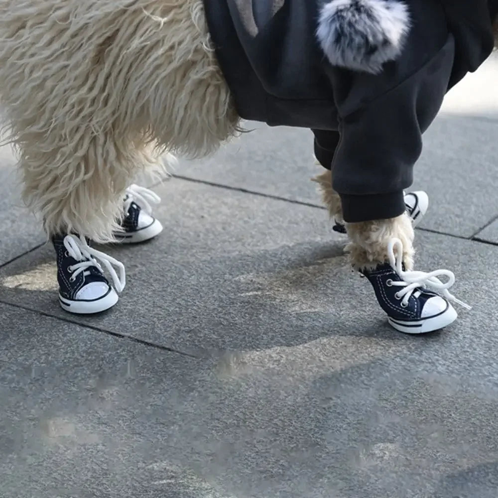 OMG Chucks for Pups!!! Got to Have Them!!  These shoes have an Adjustable Drawstring.