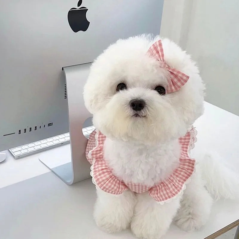 Spring/summer new pet dog dress pink plaid and lace. Suitable for both dogs and cats and will definitely place them on Any Best Dressed List. Multiple Sizes.