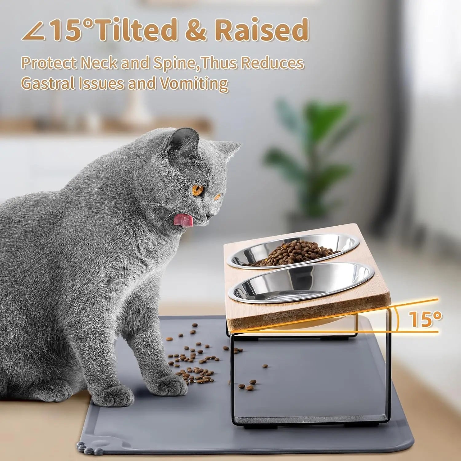 Elevated Cat Bowls with Mat, 15° Tilted Stand Anti-Vomiting Raised Dishes for Food and Water, 2 Stainless Steel Bowls