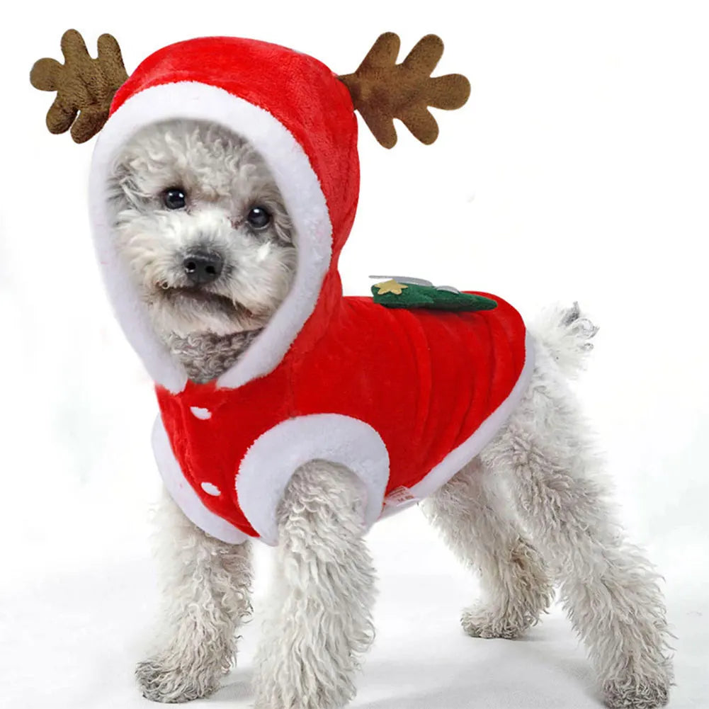 Dog Christmas Costumes Elk Pet Dog and Cat Cold Weather Coats . This Was Just Too Cute To Not Put in the Store. Think How Cute Your Next Family Photo Christmas Card Will Be!!