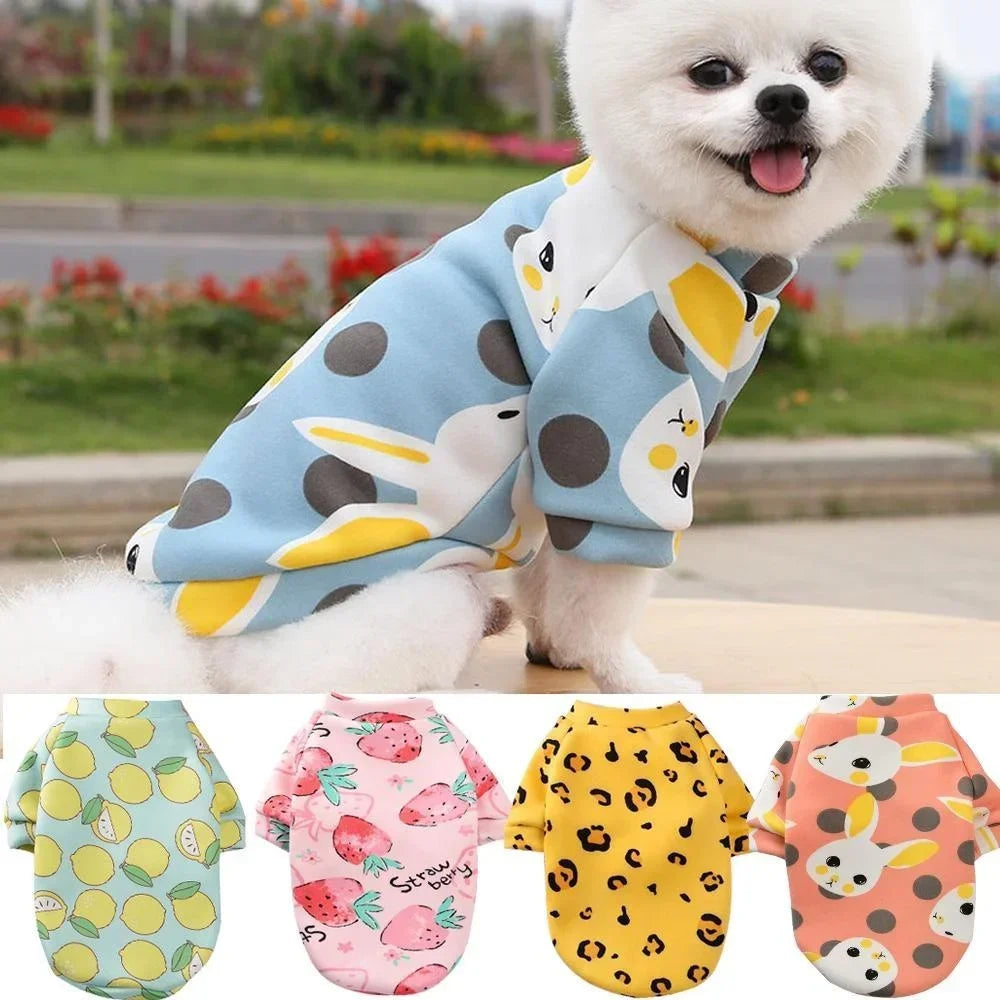 Cat and Dog Sweatshirt . Multiple fashionable designs to choose from.