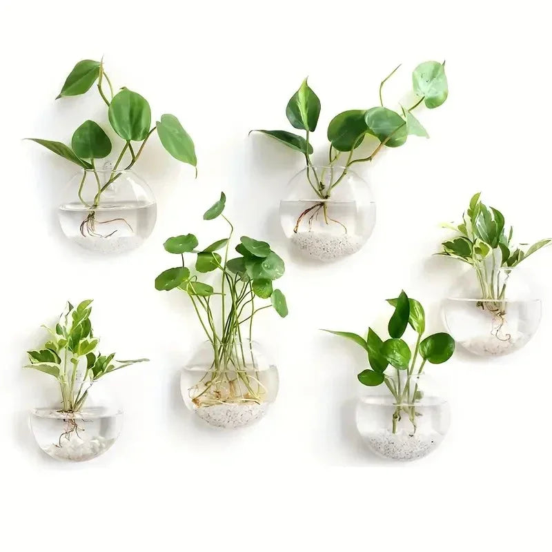 2/4/6 Pack Wall Hanging Glass Self-Watering Hydroponic Planter for Home Office Decor, Handmade Round Crystal Vase. A Nice Touch to any Room.
