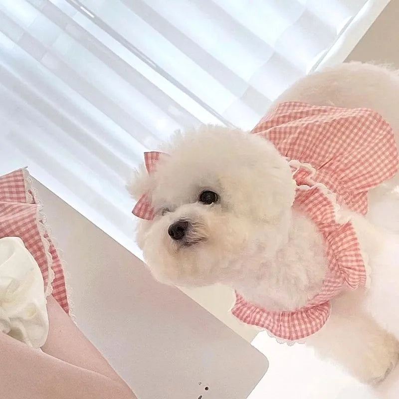 Spring/summer new pet dog dress pink plaid and lace. Suitable for both dogs and cats and will definitely place them on Any Best Dressed List. Multiple Sizes.