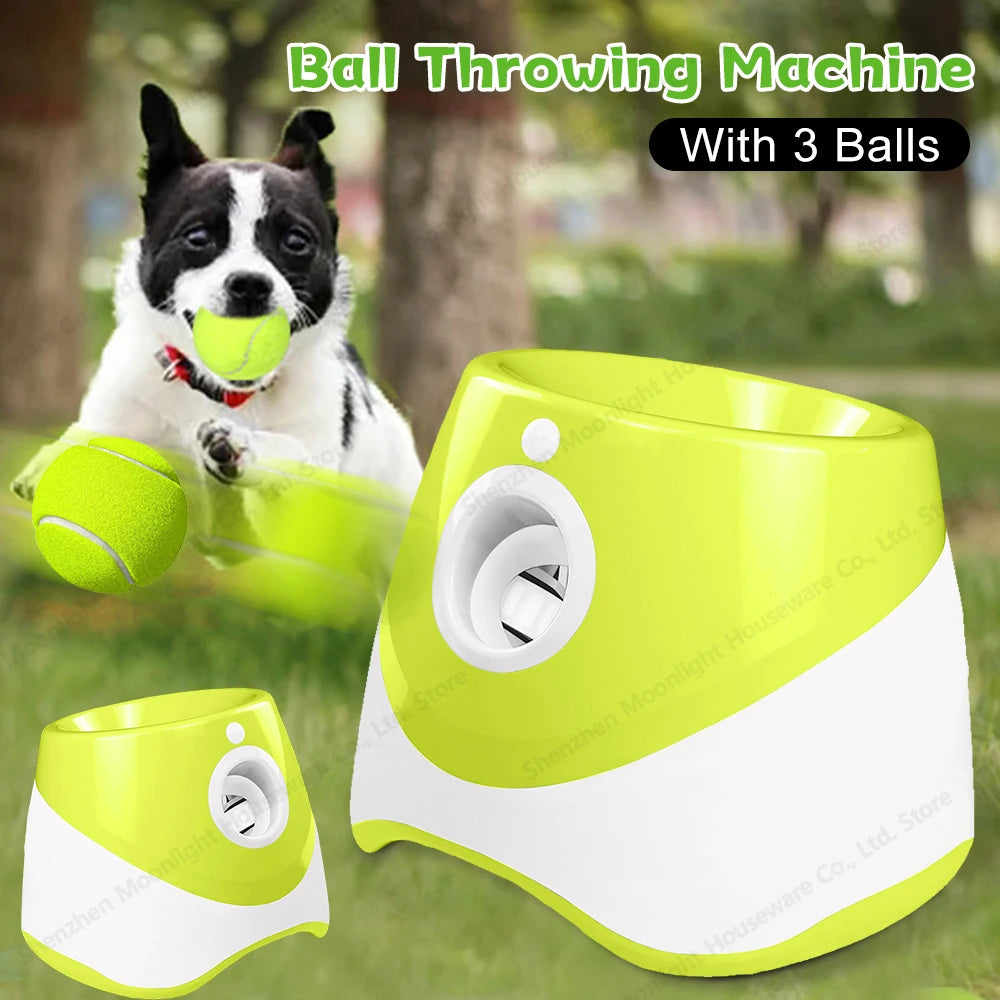 Pet Toy. Interactive Toy. Automatic ball thrower. Hours of fun for your Fur baby and the Family.