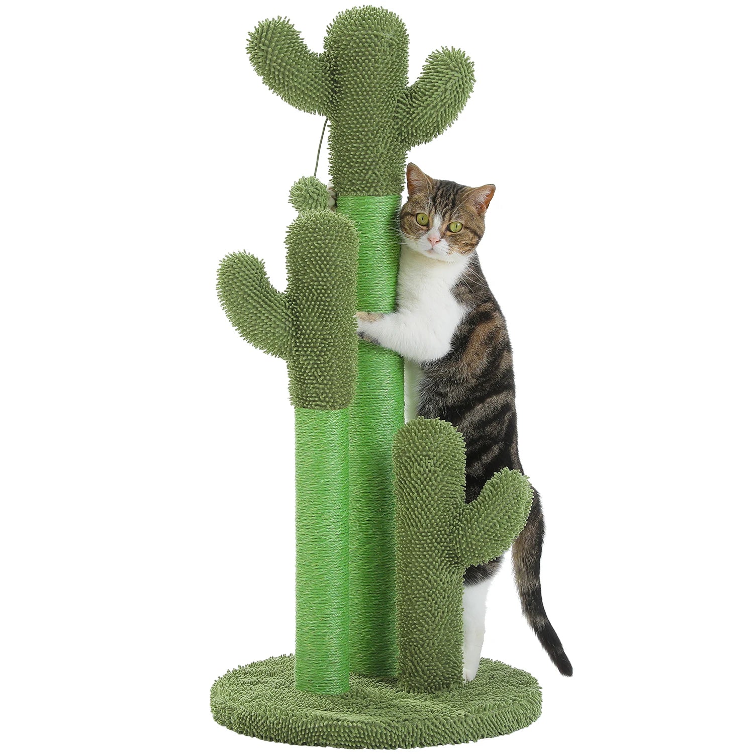Cactus Cat Tree with Large Condo, Hammock, Dangling Ball and Cat Scratching Post for hours of indoor fun and shenanigans.